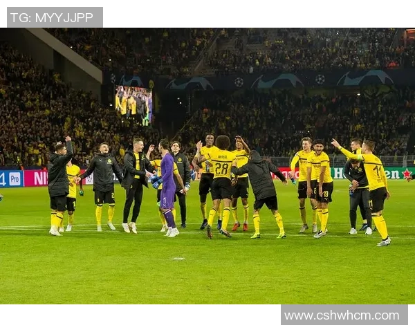 不来梅对阵多特蒙德精彩直播全程回顾与赛后分析