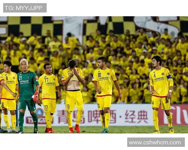 俄罗斯与澳大利亚的较量谁将胜出精彩赛事前瞻与分析