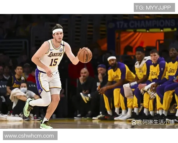 湖人对热火的篮球对决分析与战术解析探讨