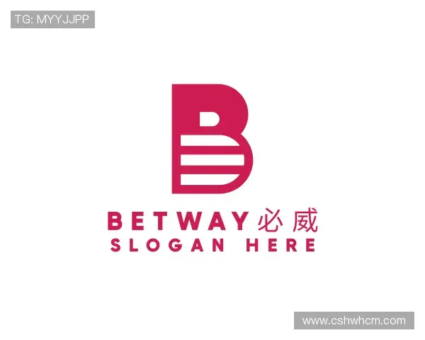 解读必威西汉姆官网